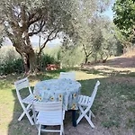 Grazioso Di Campagna * Serra San Quirico