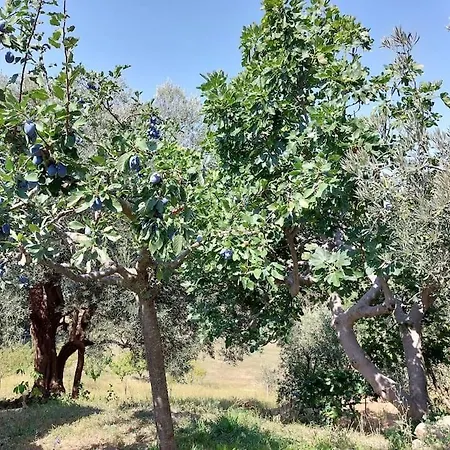 בית נופש Grazioso Di Campagna *