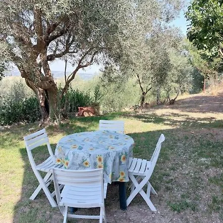 Grazioso Di Campagna * Serra San Quirico