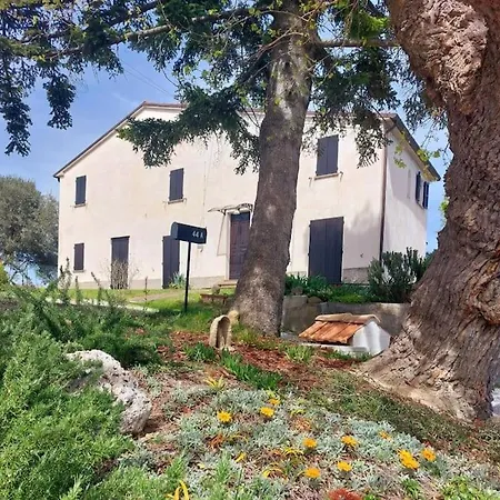 Grazioso Di Campagna *